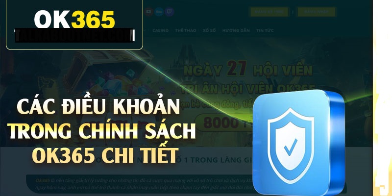 Điều khoản sử dụng ok365 – những điều kiện khi tham gia cá cược tại nhà cái